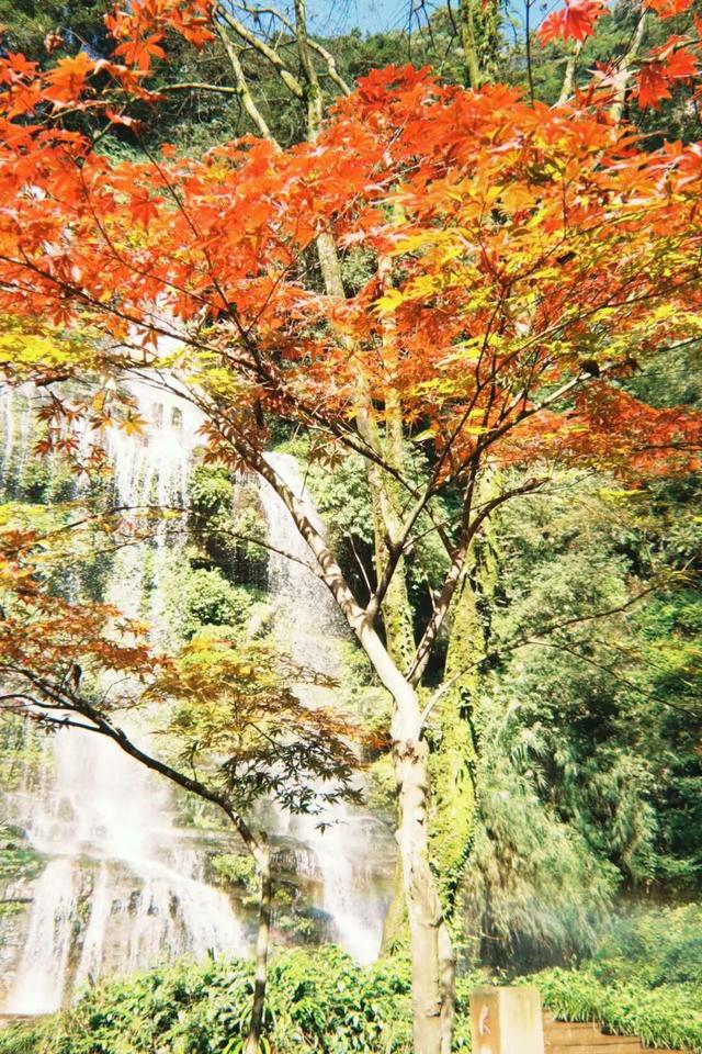 321出发…约上搭子，去天台山徒步啦～