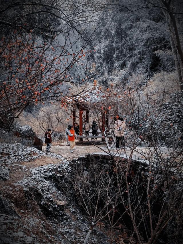 朋友圈C位预告！韶关雾凇限时上线，这片赏冰秘境地图等你来打卡