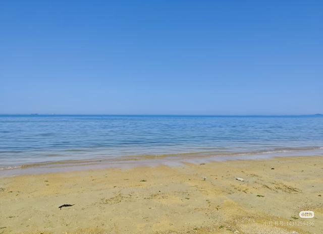 烟台的海景无敌了，玻璃海果冻海，比威海、青岛的海好看