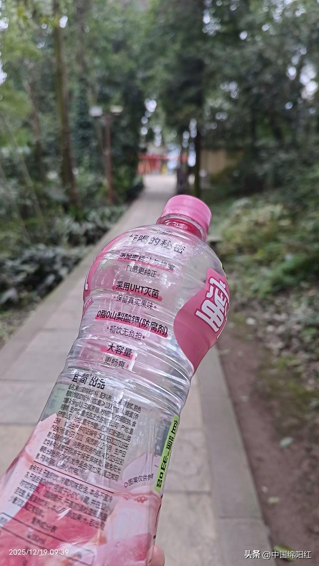 个人感觉从报国寺到金顶的全程徒步路线上的物价太贵了