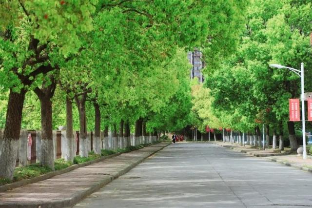 国庆去哪玩？上海成“热门选择”，这所大学值得打卡！