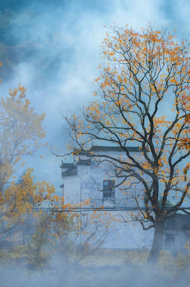 别再只去宏村了！这座水墨小城，藏着大半个徽州的秋，美得更诗意
