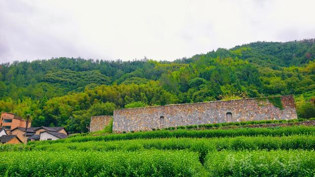 皖浙摩旅二人转——松阳石仓古民居篇（2）