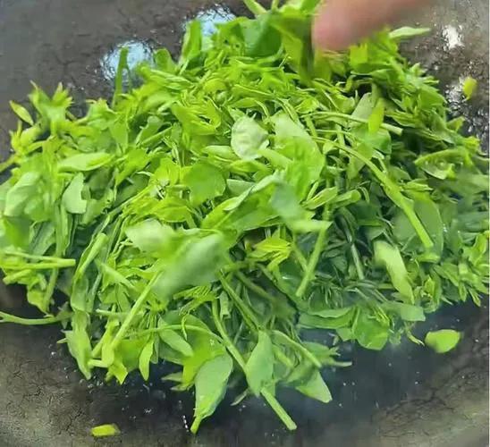 立秋过后，要使劲吃这菜，一排毒、二助眠、三清肝护眼，清新脆嫩