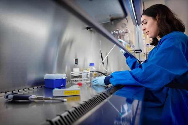 不装了，要做世界第一！我国罕见高调，什么领域这么关键