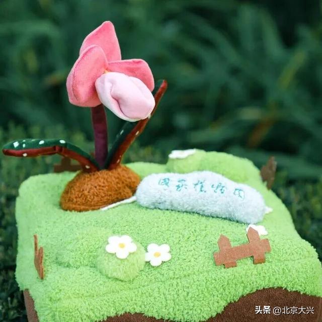 绝美！北京秋季颜值已达巅峰！这样定格最美秋天！