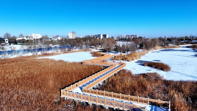 雪后枣乡 如诗如画#祁连山下是我家##厚道甘肃#