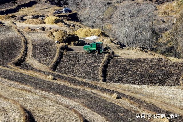北京周末自驾新选择！全家重阳出游人少景美