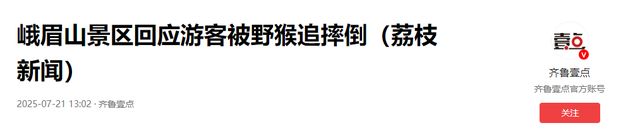 峨眉山泼猴又上热搜！多名游客遭追逐滚下山，景区回应：无法避免