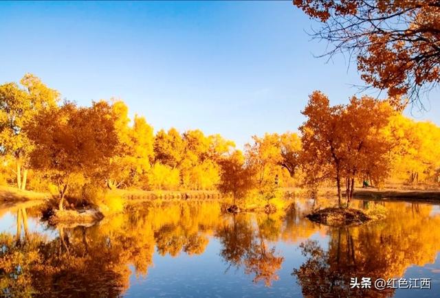 三千年的守望，赴一场大漠金辉之约