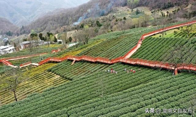 我爱你，文县！