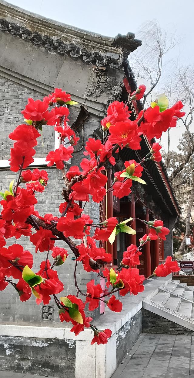 北京大观园“梅花”提早绽放 古风新春景致惊艳亮相