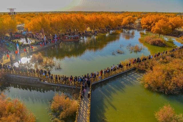 新疆洛浦：胡杨季启幕，游客醉在金林看演出