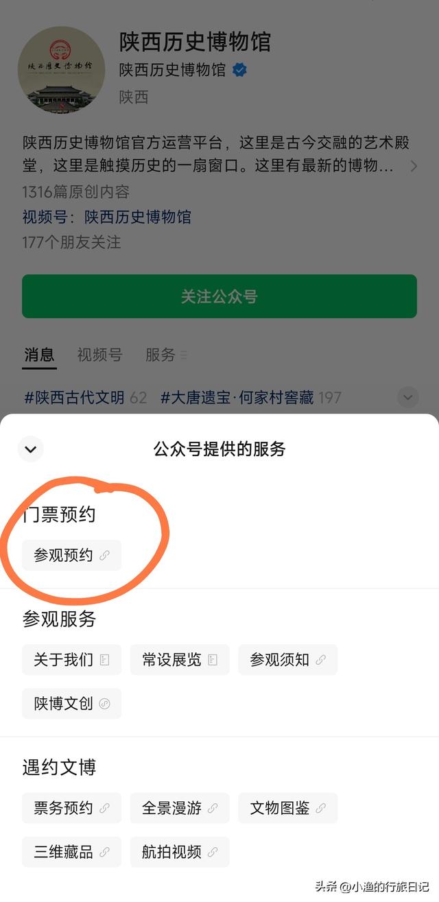 西安最“豪”特展！0元看尽大唐国宝，金光宝气文物天花板