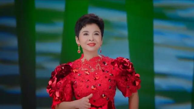 63岁董文华不再沉默，揭露当年被“封杀”原因，原来我们错怪她了