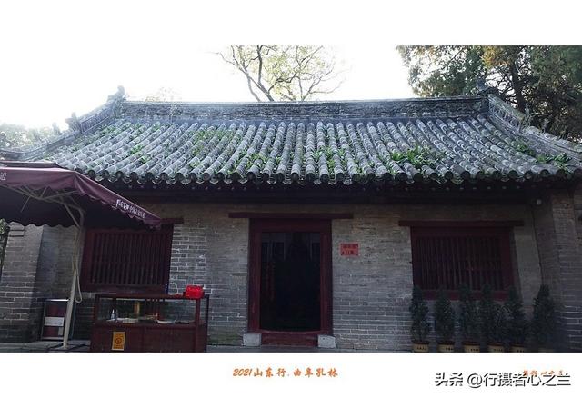 山东行游影记（228）—曲阜孔林（四）