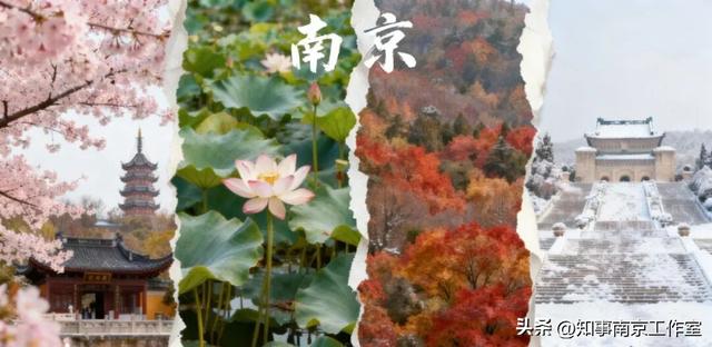 广东人为什么这么爱南京 ？