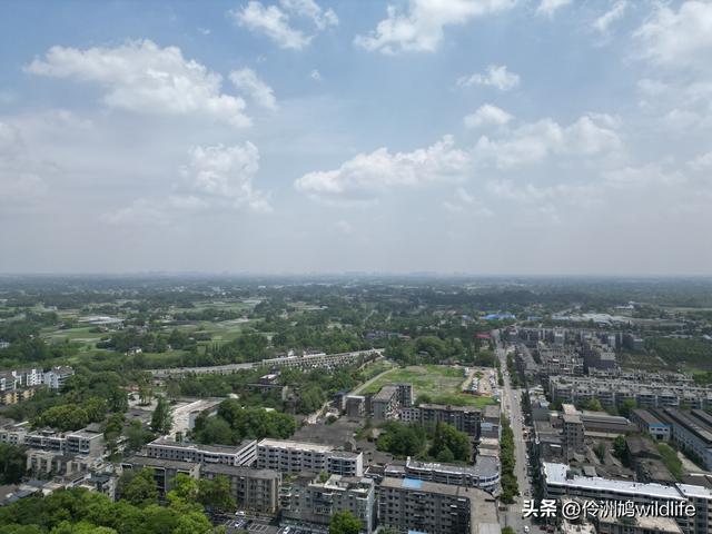成都古镇（15）郫县唐昌古镇崇宁公园·大椿巷