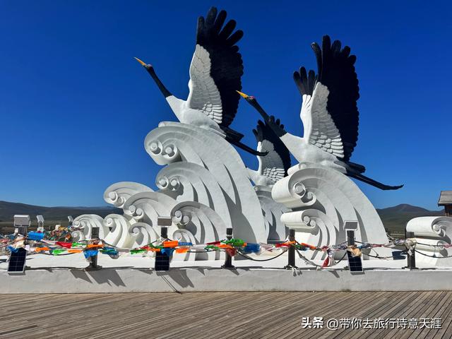 甘南郭莽湿地的野生自然风光