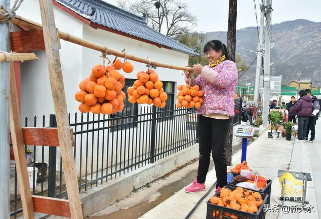周家村的柿林欢歌——清水县“周家村·周末的家”文化旅游活动见闻