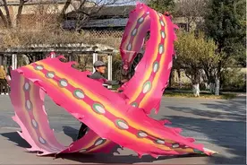 南干渠游园有一支传统“彩带龙”队图片