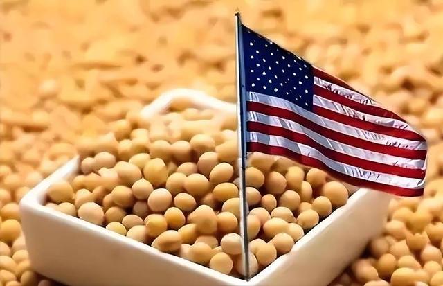 中方刚复购大豆，美国又变脸，美贸易代表通告全球，继续调查中国
