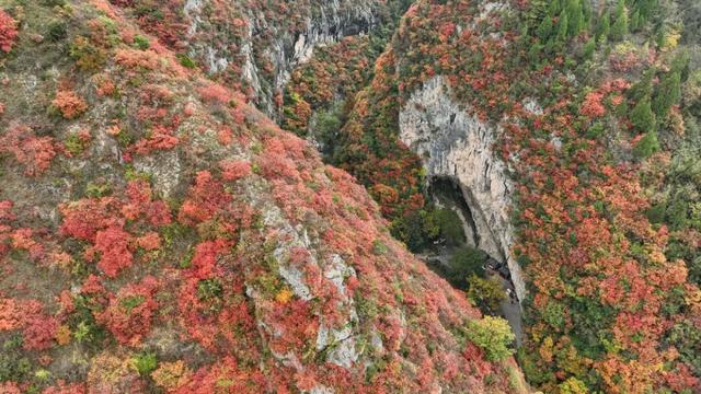 这才是秋天该有的样子~