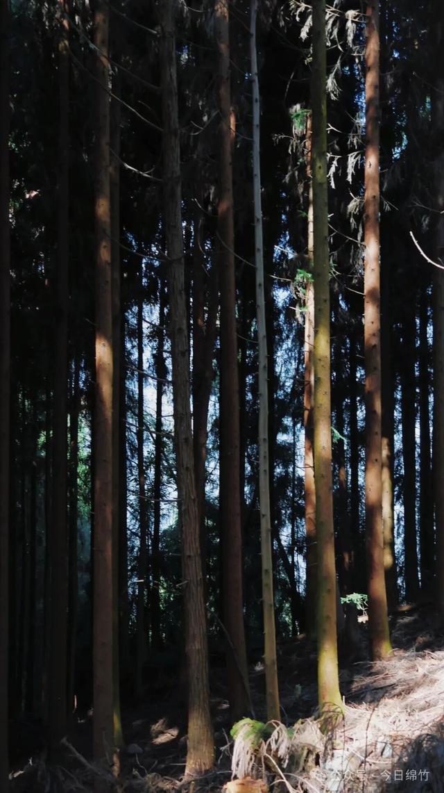 超美！绵竹新增一登山步道！沿途有瀑布群、观景台、云海……