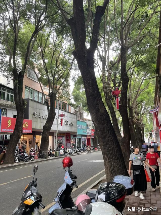 梅州平远一日闲逛：平远县博物馆+平远集贸中心市场