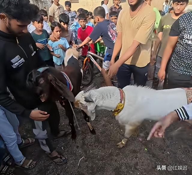 中国夫妻探秘亚洲最大贫民窟，丈夫被砸头，妻子被摸臀部不敢反抗