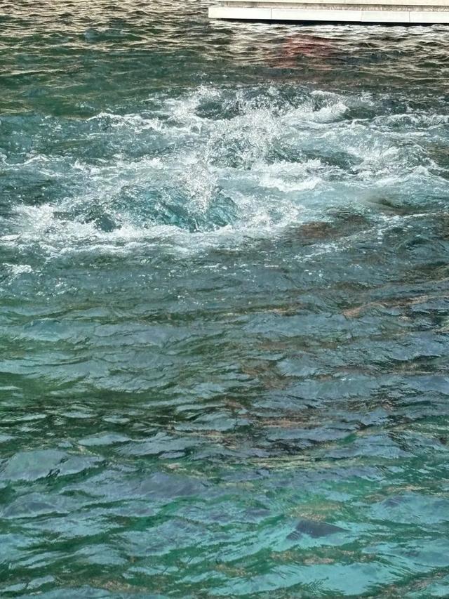 这样的济南，第一次见！