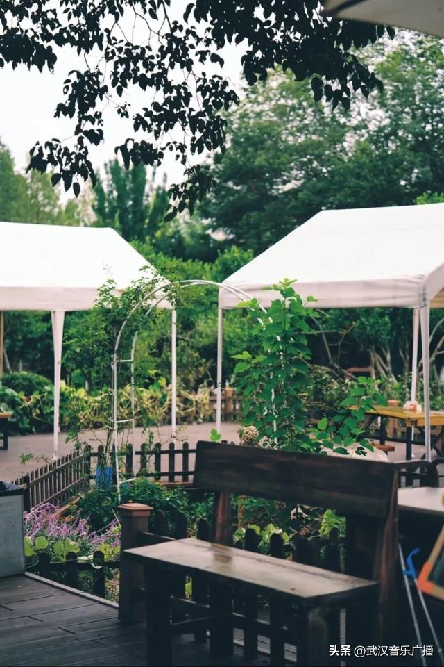 地铁+徒步，秋天的马鞍山公园，太好逛了！