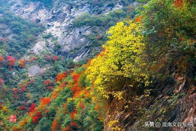 醉美文县：秋色斑斓大岭梁