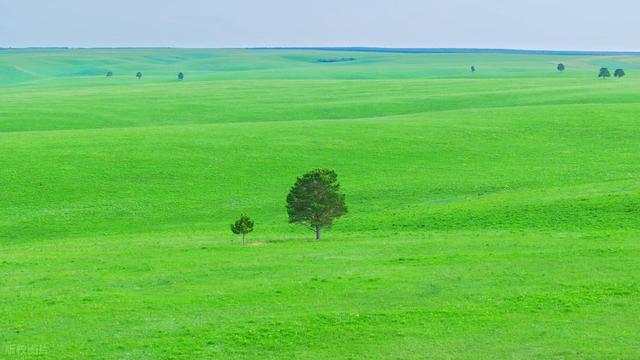 中国草原 NO.1! 低调了数千年的牧场，曾让成吉思汗都在此策马奔腾