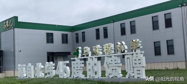 赋能99号公路，激活西乌珠穆沁文旅发展新质力