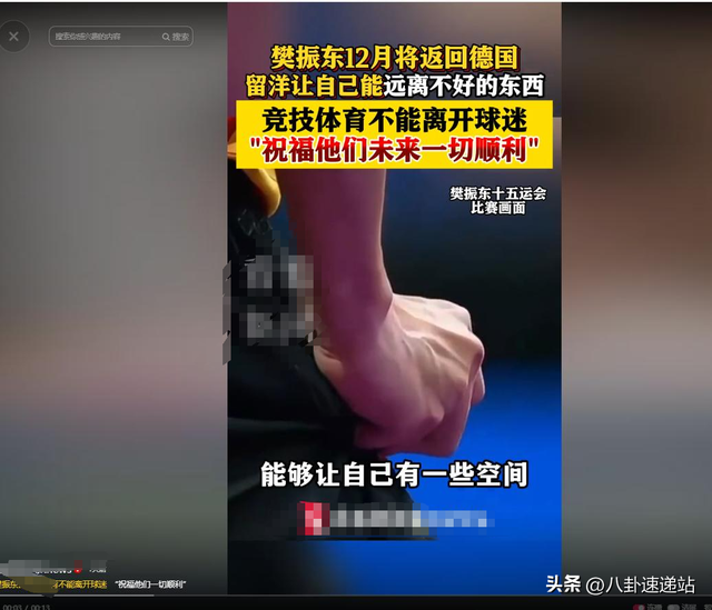 全运会结束仅半月，担心的事发生	，才发现全红婵和樊振东处境一样