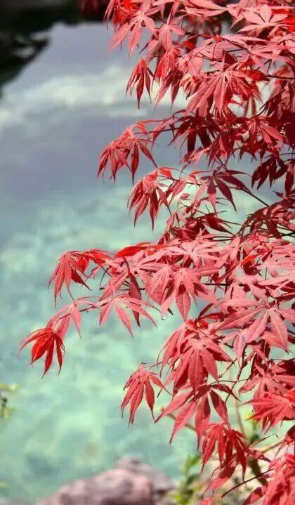 太全面了！8条游玩线路+京郊汤泉！带您玩转北京这里！（2）