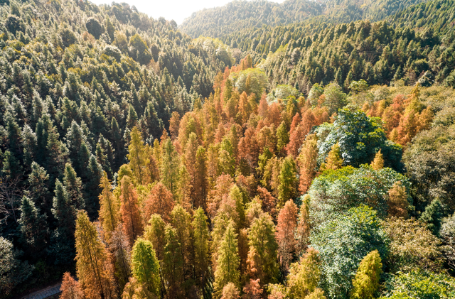 别卷作业了，卷卷大自然！韶关秋日研学，让娃成为朋友圈最酷的崽
