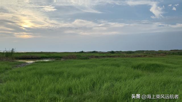 别再找秋天的海了！南京溧水这片草海才是顶流，我已去过了