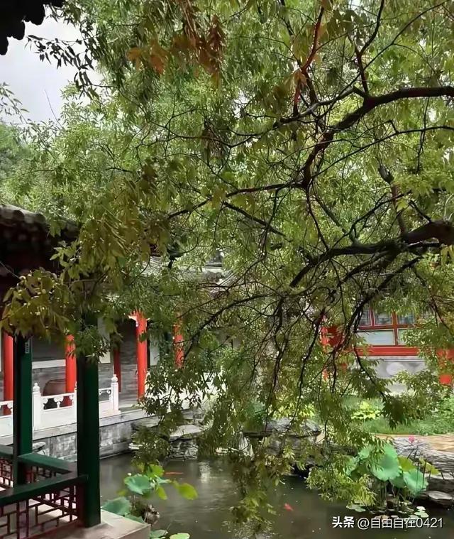 李湘在平台晒自家北京小院，大到让网友以为是景区，真的太有钱了