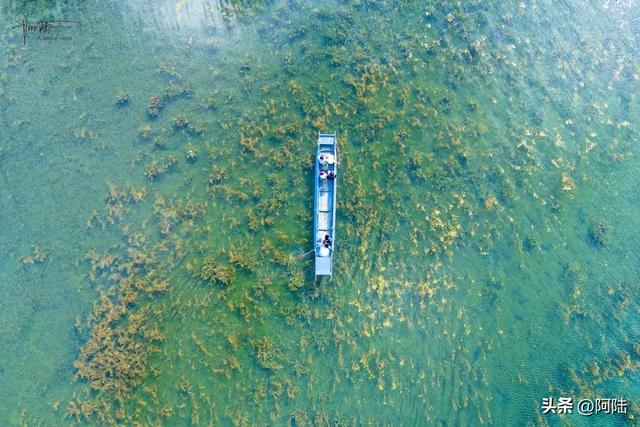 普洛码头的位置比较隐秘,却是泸沽湖的“花海C位”,风景美如画