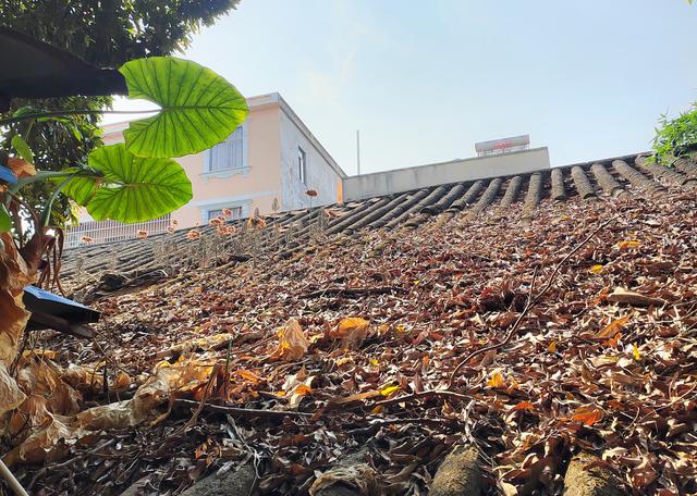 【北海】考古80年代公销社