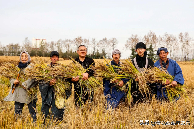 西海岸三家博物馆入选省级名录