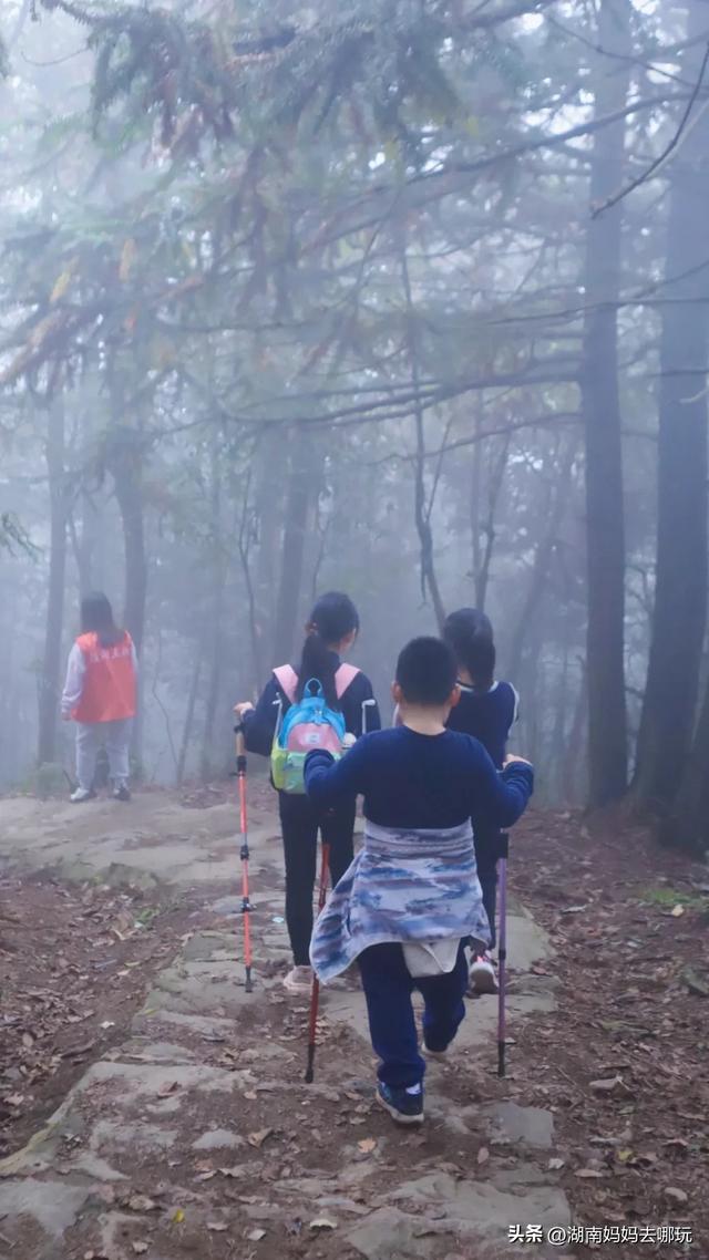 1.5h直达!藏在山野里的捡秋秘境,瀑布+挖宝双buff拉满!