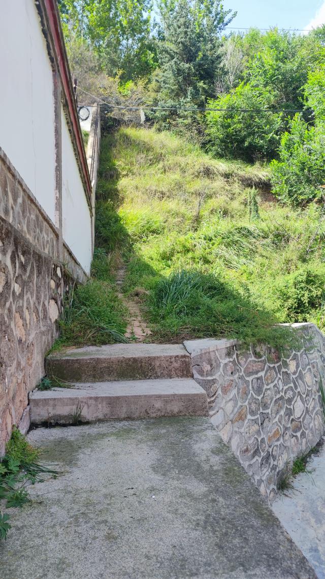 藏传佛教格鲁派四大寺院之一，西宁塔尔寺，碰巧免费进去了