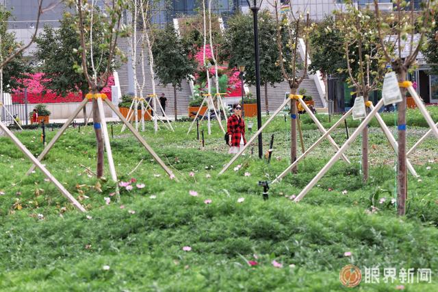 这处新增小游园正式亮相 位于乌鲁木齐文化中心北侧，占地60亩