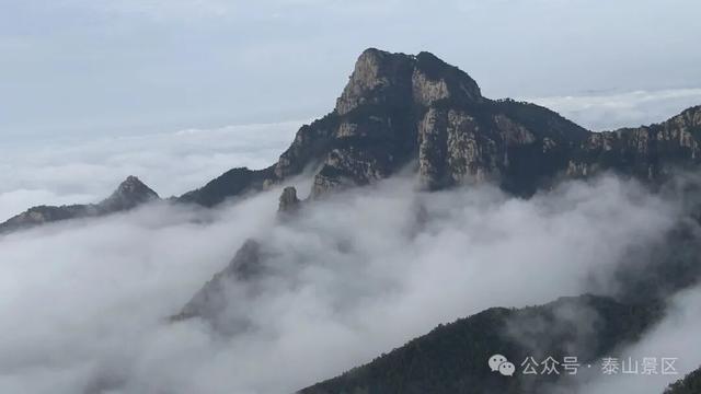 泰山云海：水墨长卷里的山河诗行