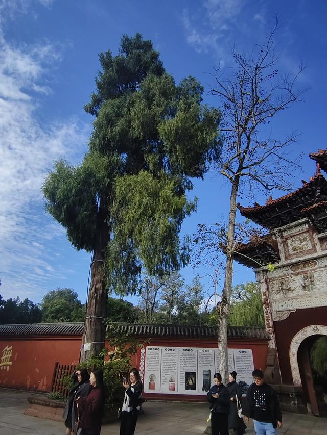 南行漫记：离开南充走G318到达遂宁，驻车圣莲岛营地