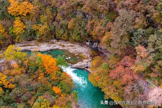免票！半价！汉中这处红叶​绝佳观赏期已至，周末快冲！