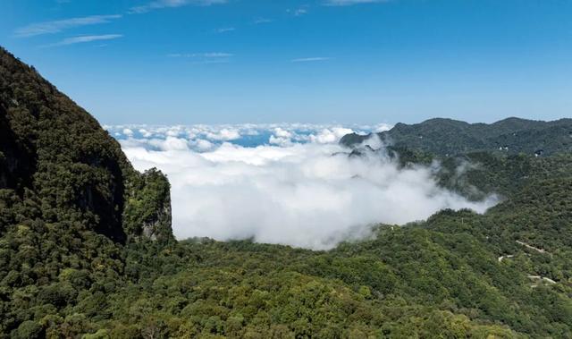 守护生态秘境——走进徽县三滩森林公园